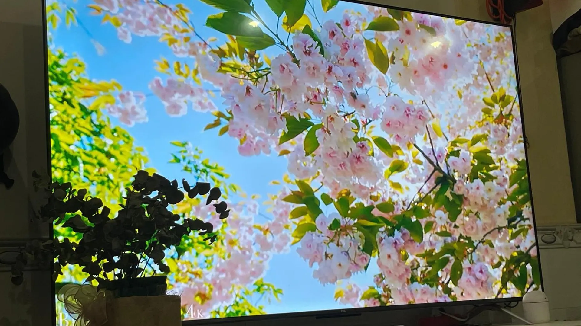 花ren Hostel ホーチミン市 ホームステイ